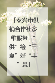 泰兴市供销合作社多维服务 “供”绘“三夏”好“丰”景