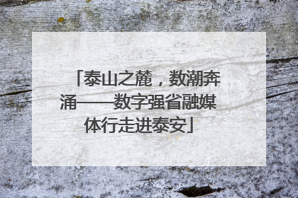 泰山之麓，数潮奔涌——数字强省融媒体行走进泰安