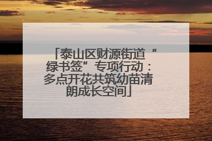 泰山区财源街道“绿书签”专项行动：多点开花共筑幼苗清朗成长空间