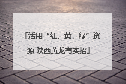 活用“红、黄、绿”资源 陕西黄龙有实招