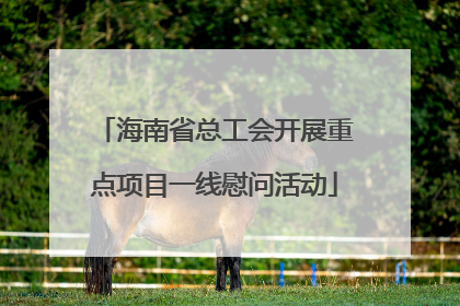 海南省总工会开展重点项目一线慰问活动