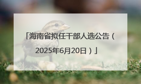 海南省拟任干部人选公告（2025年6月20日）