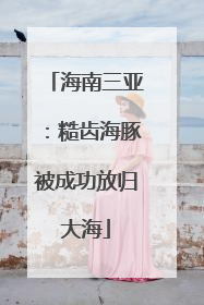 海南三亚：糙齿海豚被成功放归大海