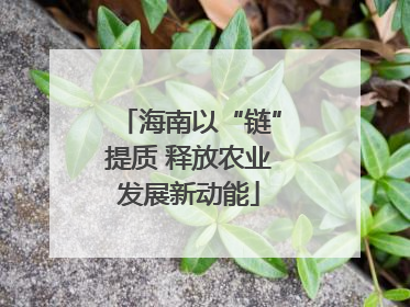 海南以“链”提质 释放农业发展新动能