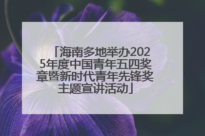 海南多地举办2025年度中国青年五四奖章暨新时代青年先锋奖主题宣讲活动