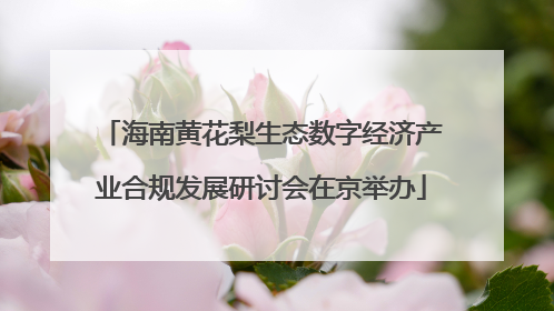 海南黄花梨生态数字经济产业合规发展研讨会在京举办