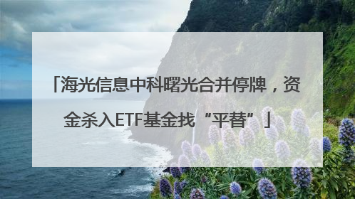 海光信息中科曙光合并停牌，资金杀入ETF基金找“平替”