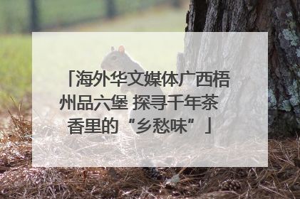 海外华文媒体广西梧州品六堡 探寻千年茶香里的“乡愁味”
