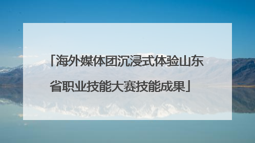 海外媒体团沉浸式体验山东省职业技能大赛技能成果