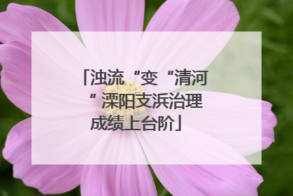浊流“变“清河“ 溧阳支浜治理成绩上台阶