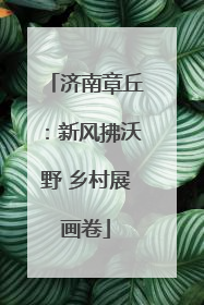 济南章丘：新风拂沃野 乡村展画卷