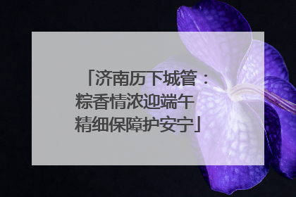 济南历下城管：粽香情浓迎端午 精细保障护安宁
