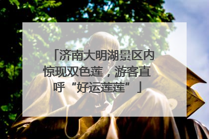 济南大明湖景区内惊现双色莲，游客直呼“好运莲莲”