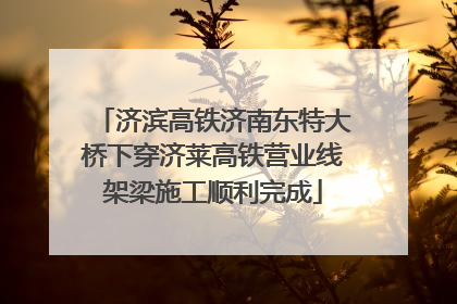 济滨高铁济南东特大桥下穿济莱高铁营业线架梁施工顺利完成
