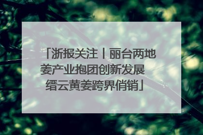 浙报关注丨丽台两地姜产业抱团创新发展 缙云黄姜跨界俏销