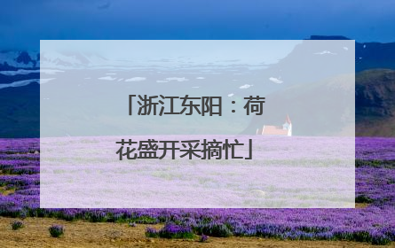 浙江东阳：荷花盛开采摘忙