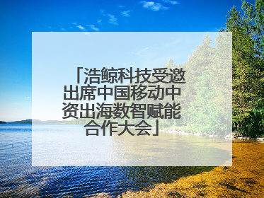 浩鲸科技受邀出席中国移动中资出海数智赋能合作大会