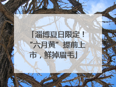 淄博夏日限定！“六月黄”提前上市，鲜掉眉毛