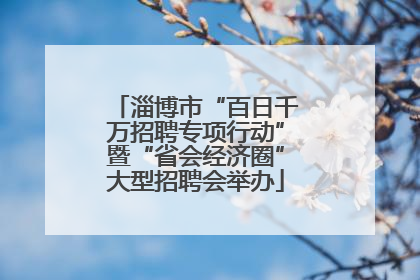 淄博市“百日千万招聘专项行动”暨“省会经济圈”大型招聘会举办