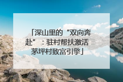 深山里的“双向奔赴”：驻村帮扶激活茅坪村致富引擎