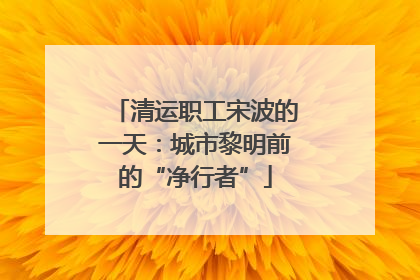 清运职工宋波的一天：城市黎明前的“净行者”