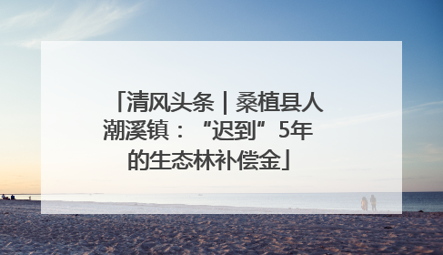 清风头条｜桑植县人潮溪镇：“迟到”5年的生态林补偿金