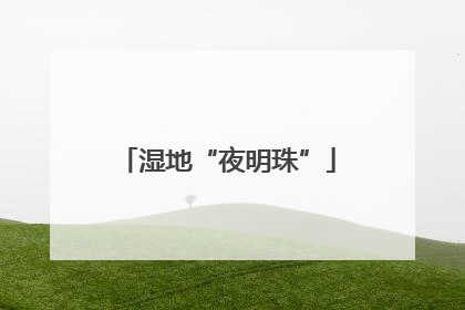 湿地“夜明珠”