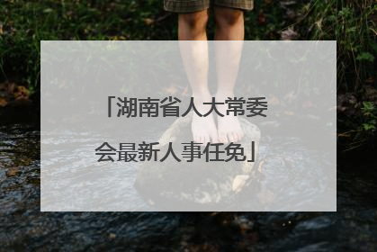 湖南省人大常委会最新人事任免