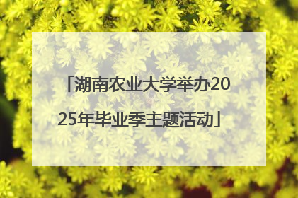 湖南农业大学举办2025年毕业季主题活动