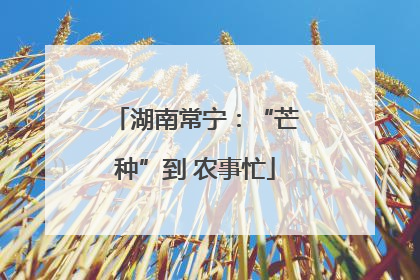 湖南常宁：“芒种”到 农事忙