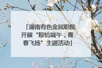 湖南有色金属职院开展“粽情端午，青春飞扬”主题活动