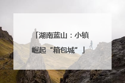 湖南蓝山：小镇崛起“箱包城”