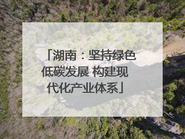 湖南：坚持绿色低碳发展 构建现代化产业体系
