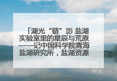 湖光“链”影 盐湖实验室里的星辰与荒原——记中国科学院青海盐湖研究所，盐湖资源化学实验室党总支书记、副主任刘忠