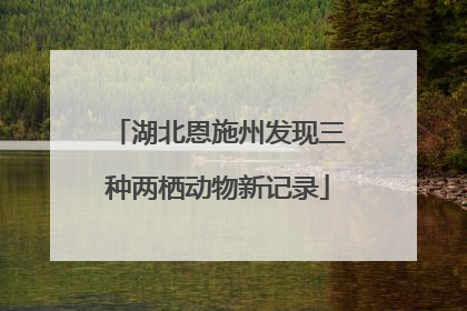 湖北恩施州发现三种两栖动物新记录
