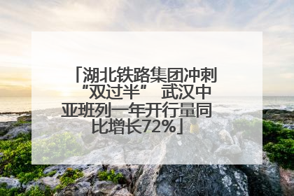 湖北铁路集团冲刺“双过半” 武汉中亚班列一年开行量同比增长72%