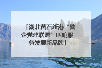 湖北黄石新港“警企党建联盟”叫响服务发展新品牌