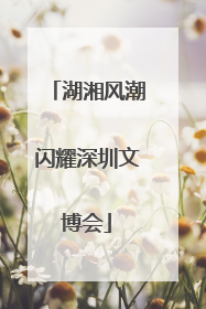 湖湘风潮闪耀深圳文博会