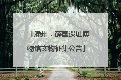 滕州：薛国遗址博物馆文物征集公告