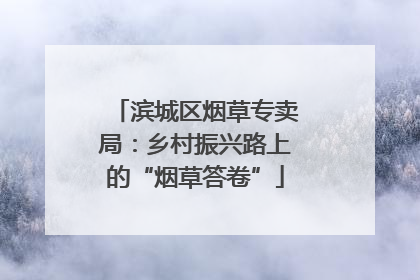 滨城区烟草专卖局：乡村振兴路上的“烟草答卷”