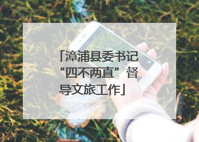漳浦县委书记“四不两直”督导文旅工作