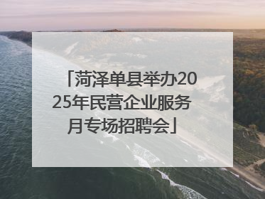 菏泽单县举办2025年民营企业服务月专场招聘会