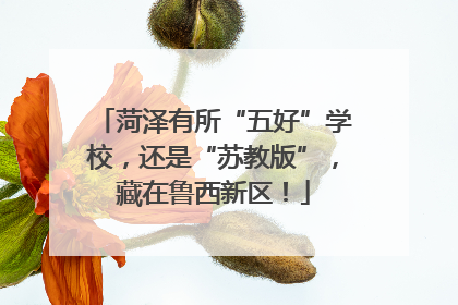 菏泽有所“五好”学校，还是“苏教版”，藏在鲁西新区！
