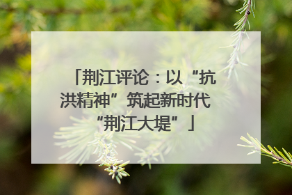 荆江评论：以“抗洪精神”筑起新时代“荆江大堤”