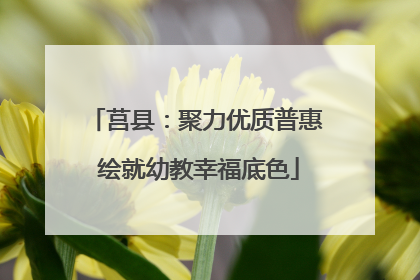 莒县：聚力优质普惠 绘就幼教幸福底色