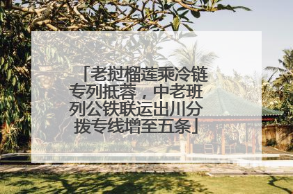 老挝榴莲乘冷链专列抵蓉，中老班列公铁联运出川分拨专线增至五条