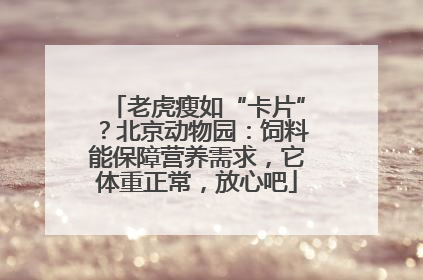 老虎瘦如“卡片”？北京动物园：饲料能保障营养需求，它体重正常，放心吧