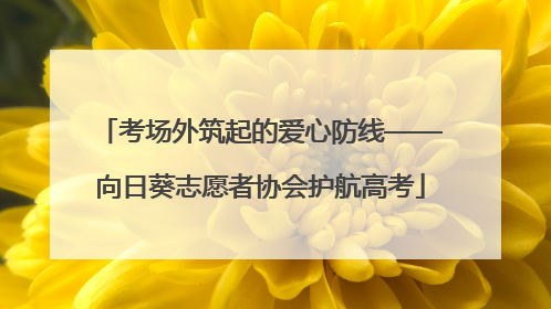 考场外筑起的爱心防线——向日葵志愿者协会护航高考