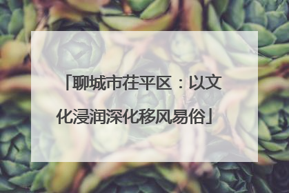 聊城市茌平区：以文化浸润深化移风易俗