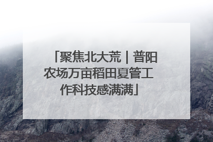 聚焦北大荒｜普阳农场万亩稻田夏管工作科技感满满